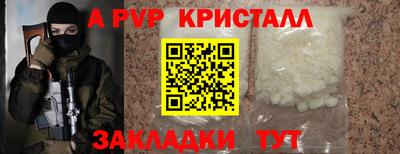 гашик Кингисепп
