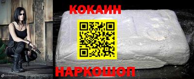 гашик Кингисепп