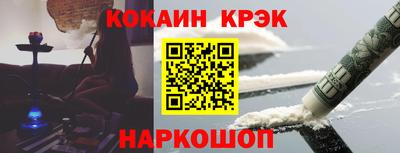 гашик Кингисепп