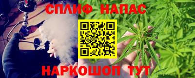гашик Кингисепп