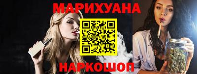 гашик Кингисепп