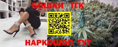гашик Кингисепп