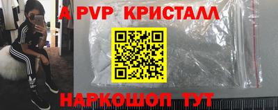 гашик Кингисепп