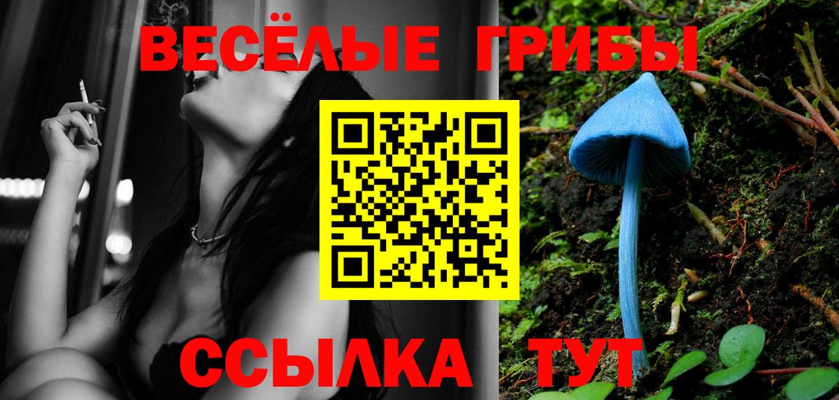 Псилоцибиновые грибы MAGIC MUSHROOMS Городец