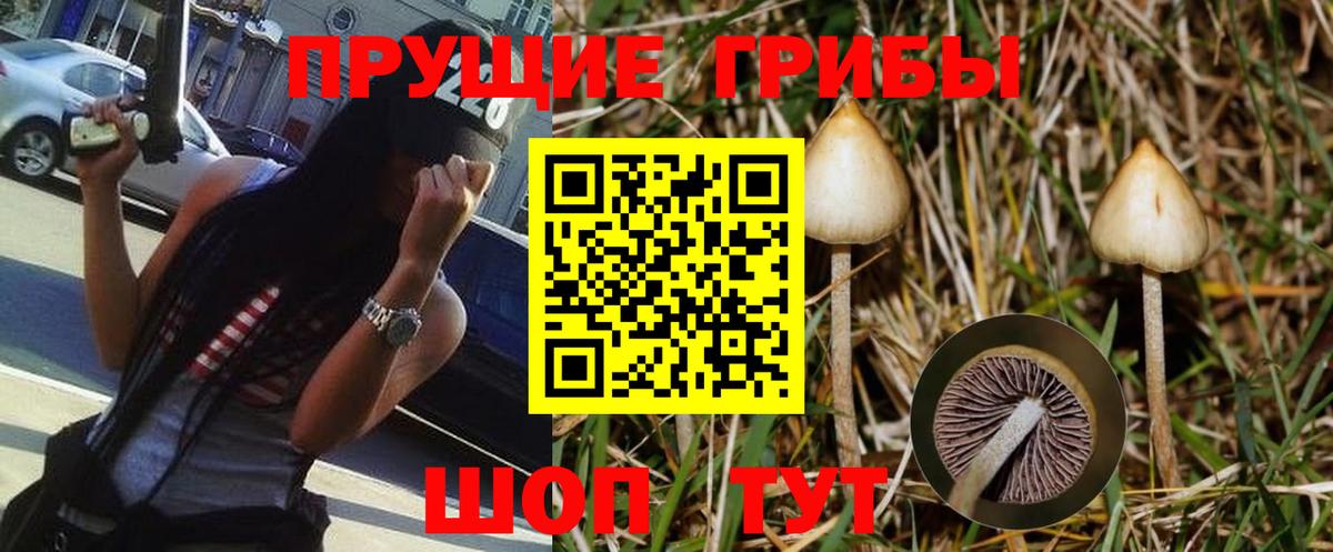 Городец  Псилоцибиновые грибы мухоморы  Вход с VPN 